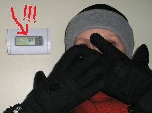 thermostat thermostat