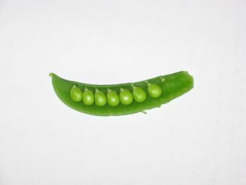peas peas