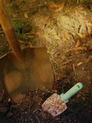 shovel shovel