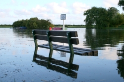 flood flood