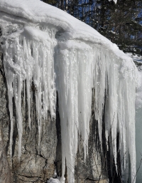 icicles